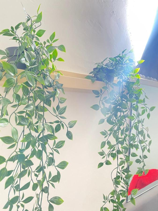 Best Rooms - Quarto 3 Plateau プライア エクステリア 写真