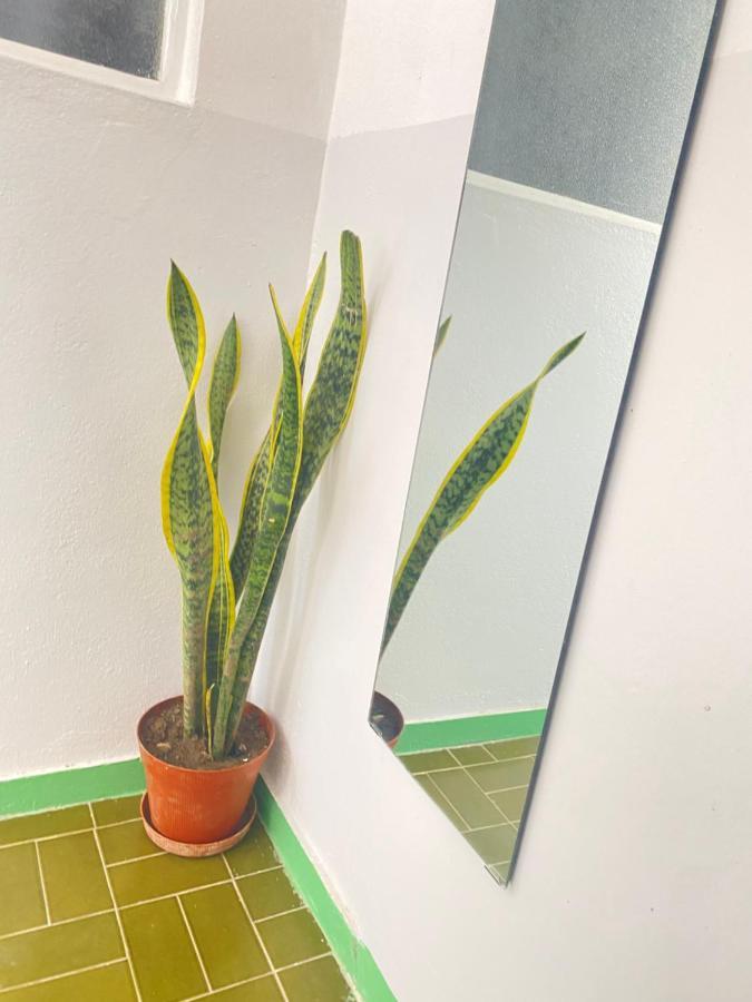 Best Rooms - Quarto 3 Plateau プライア エクステリア 写真